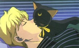 Luna Cat